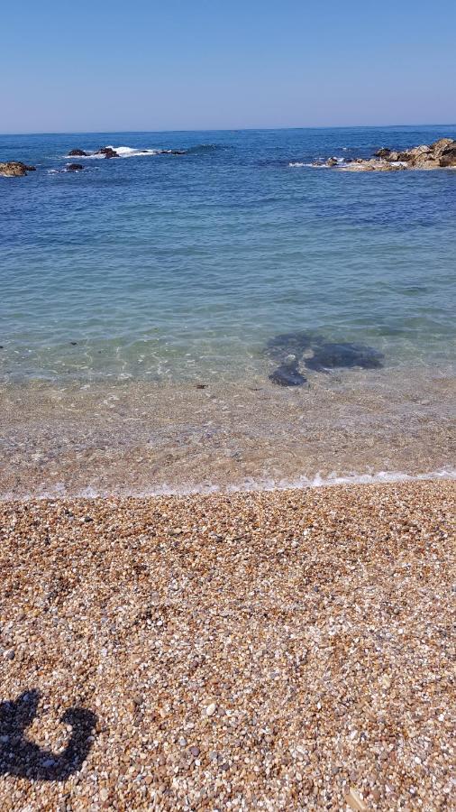 Beachwalk Guesthouse Esmoriz Dış mekan fotoğraf