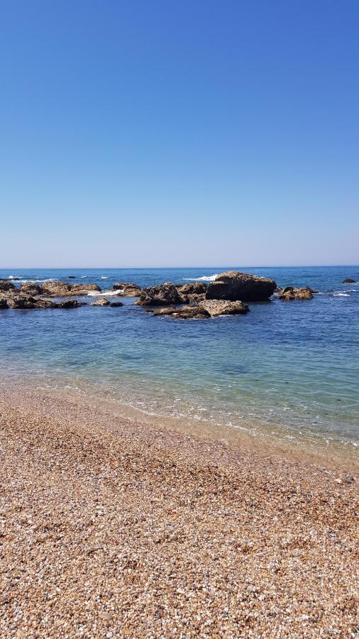 Beachwalk Guesthouse Esmoriz Dış mekan fotoğraf